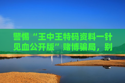 警惕“王中王特码资料一针见血公开版”赌博骗局，别信所谓精准押注陷阱
