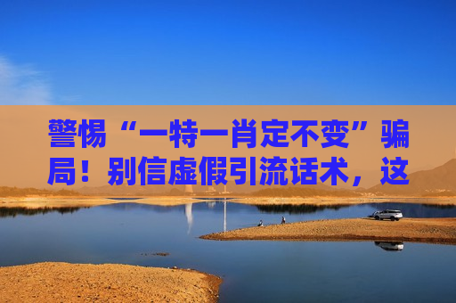 西安网站优化公司-简致网络