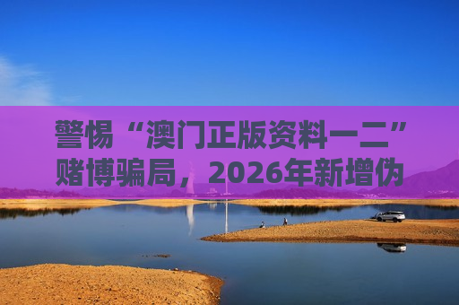 西安网站优化公司-简致网络